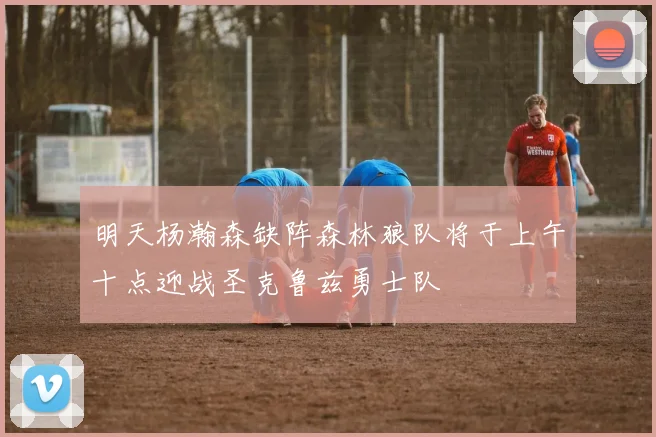 明天杨瀚森缺阵森林狼队将于上午十点迎战圣克鲁兹勇士队