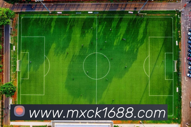 华体会APP 高清赛事图