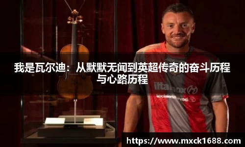 芒果体育在线
