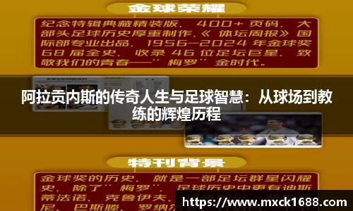 芒果体育网站