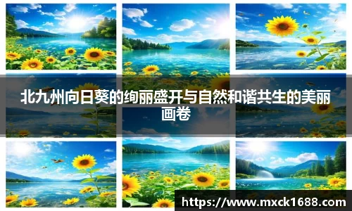 北九州向日葵的绚丽盛开与自然和谐共生的美丽画卷