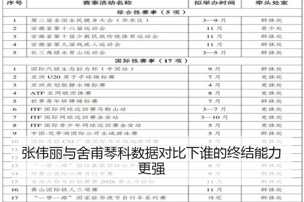 张伟丽与舍甫琴科数据对比下谁的终结能力更强